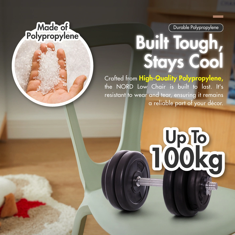 CS-3402-BEIGE-NORD-Low-Chair-with-Ergo-Support-Backrest-03