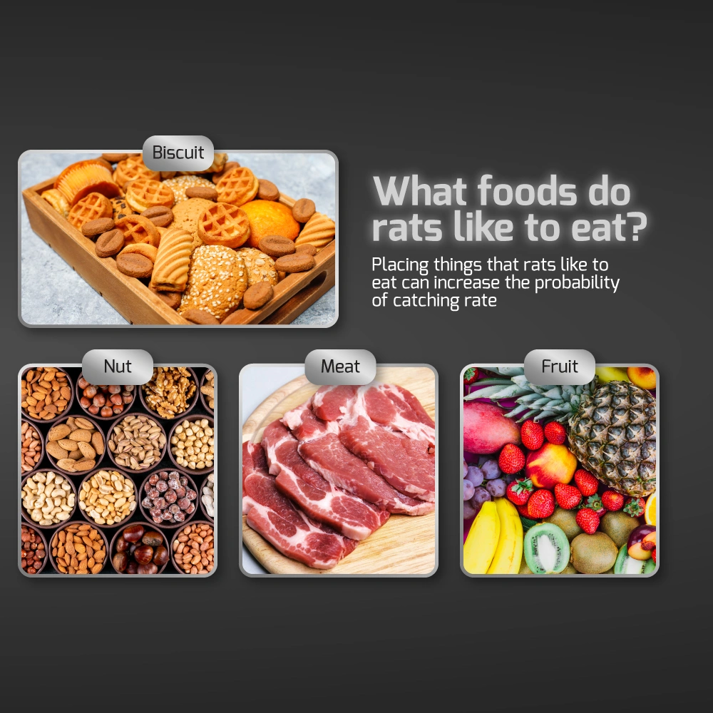 DY-8944-DY-8945-Mouse-and-Rat-Trap-Cage-05